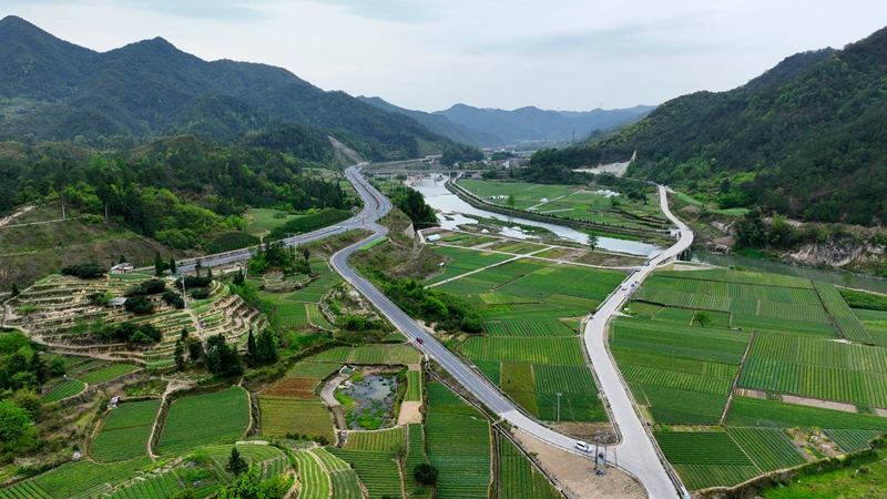 浙農(nóng)浙貝母、杭白菊基地通過中藥材GAP延伸檢查